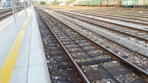 ervas_suicidas_ramón