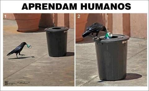 Aprendam humanos