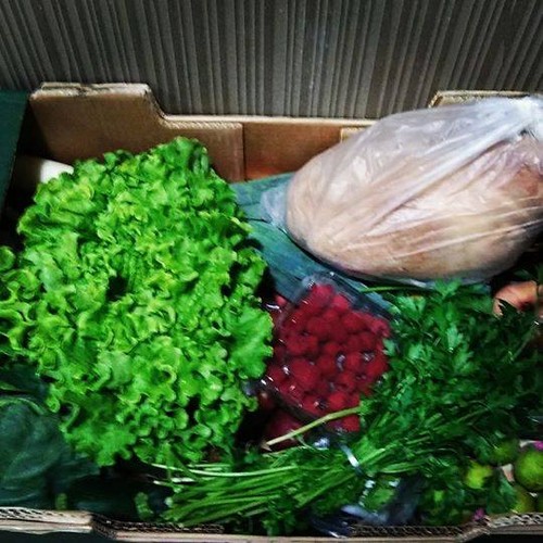 21371174_962587990547629_2485463526662297078_n.jpg 21371174_962587990547629_2485463526662297078_n.jpg