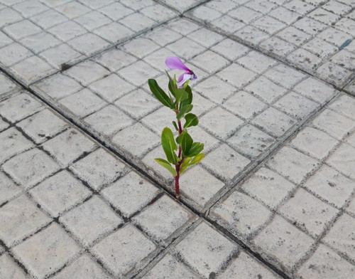 20160921_083934.jpg 20160921_083934.jpg