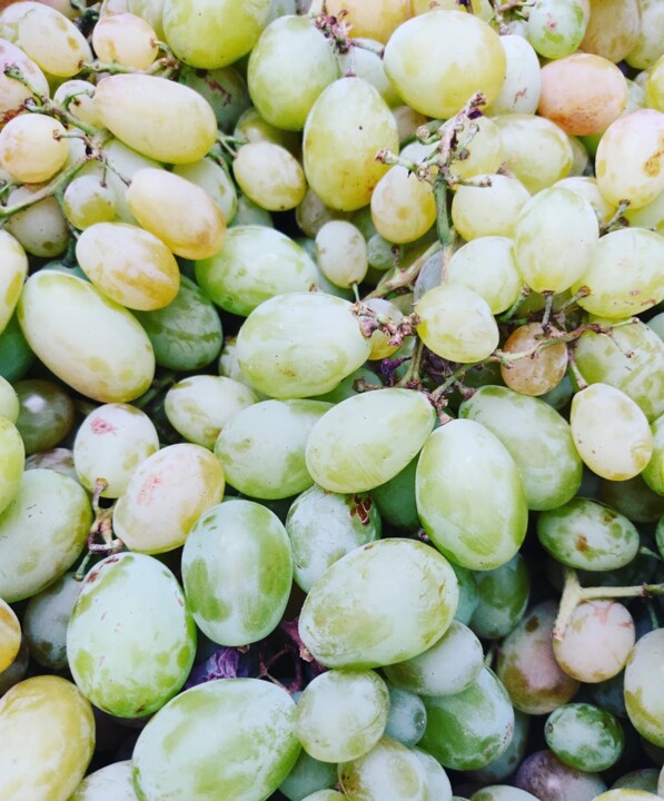 458737208_906930211464390_4302834138748352613_n.jp