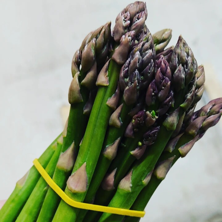 336256200_750032719977947_7536373344874614366_n.jp