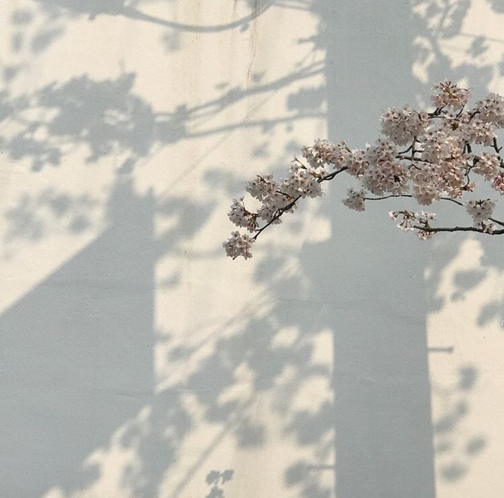 131286558_3470871616342019_1270384543802146665_n.j