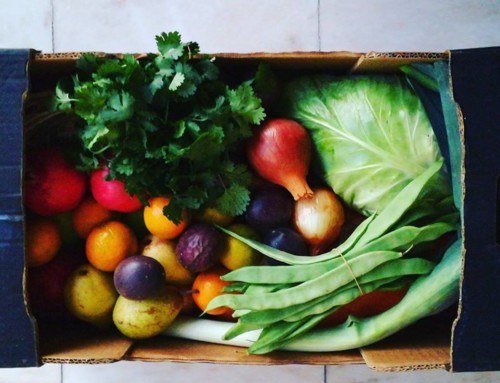 43089023_1218618891611203_1493533417864691712_n.jp 43089023_1218618891611203_1493533417864691712_n.jp