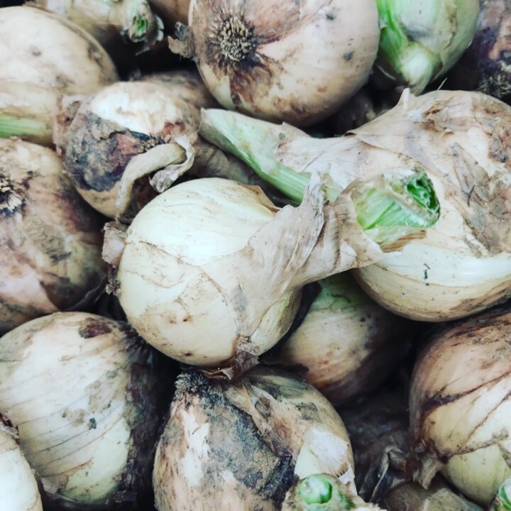 433708952_799656478858431_9042597142655442855_n.jp