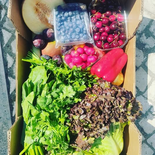 516577394_18487537552066958_1823115779838726920_n.