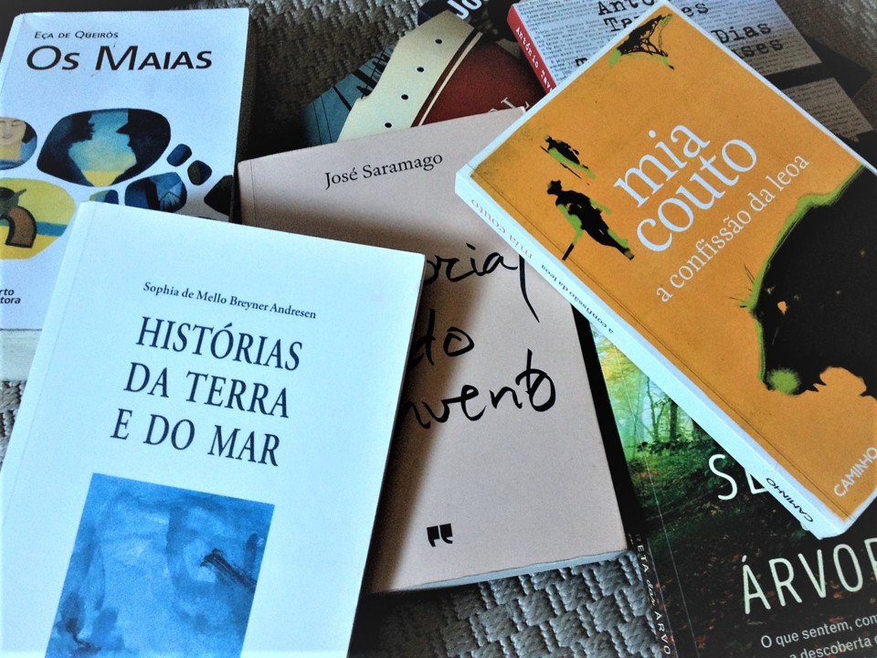 dia do leitor.jpg dia do leitor.jpg