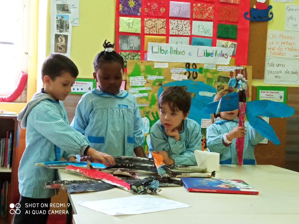 IMG_20201204_142216.jpg IMG_20201204_142216.jpg