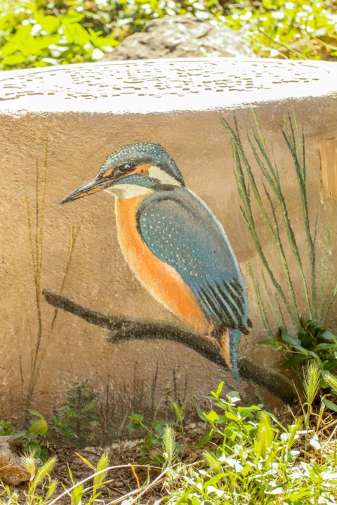 trilho das vinhas-33.jpg