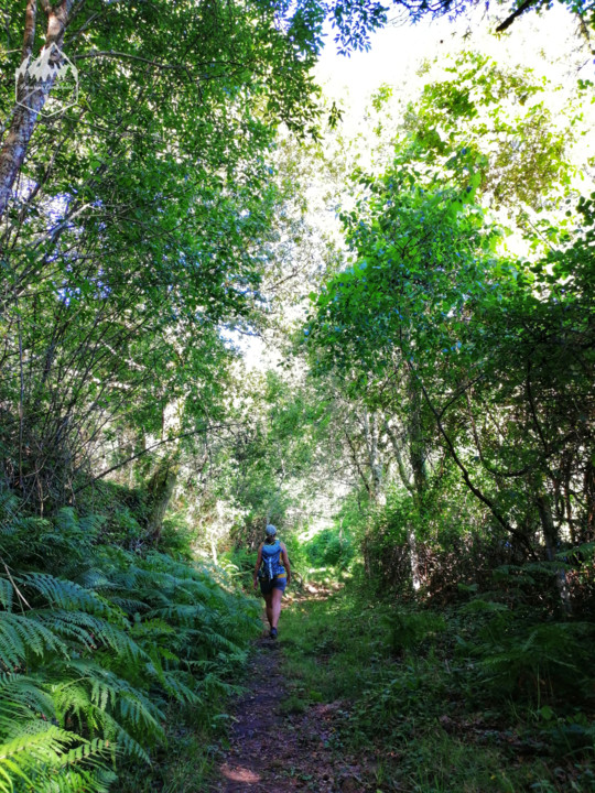 Photo_1598340539312.jpg Photo_1598340539312.jpg