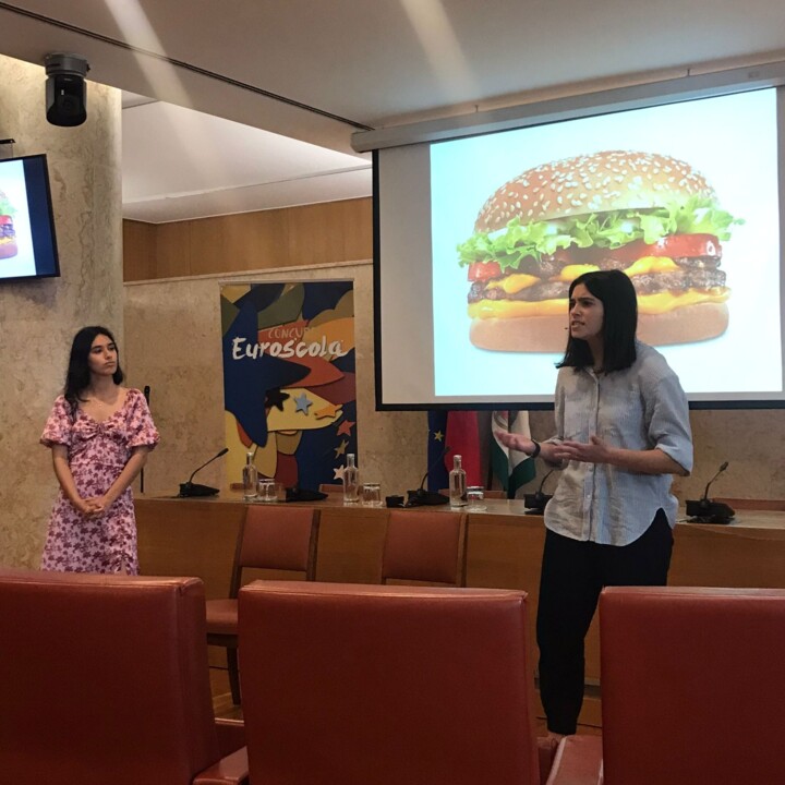 Euroscola4.jpg