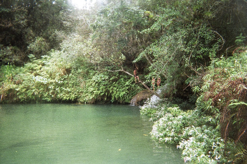 73700013.jpg 73700013.jpg