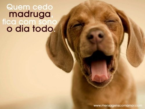 839bbcf8583067e851caa7d92cc99135.jpg 839bbcf8583067e851caa7d92cc99135.jpg