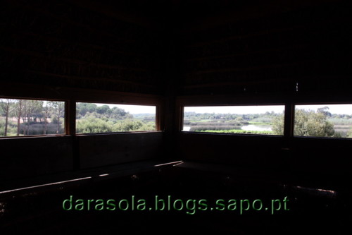 Donana_B_11.JPG Donana_B_11.JPG