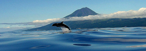 Açores com novo desenvolvimento à vista...