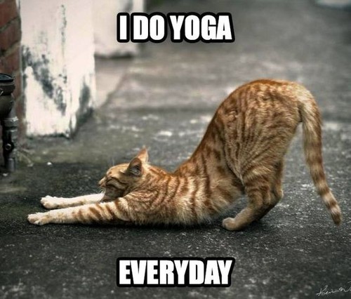 i-do-yoga-everyday.jpg