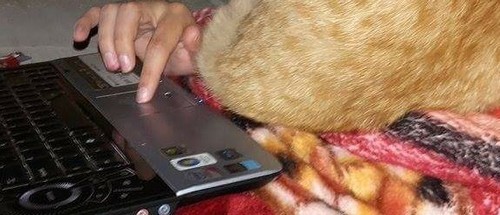 IMG_20160427_192843.JPG IMG_20160427_192843.JPG