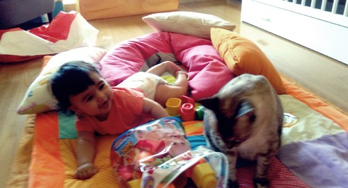 IMG_20150709_152905.jpg IMG_20150709_152905.jpg