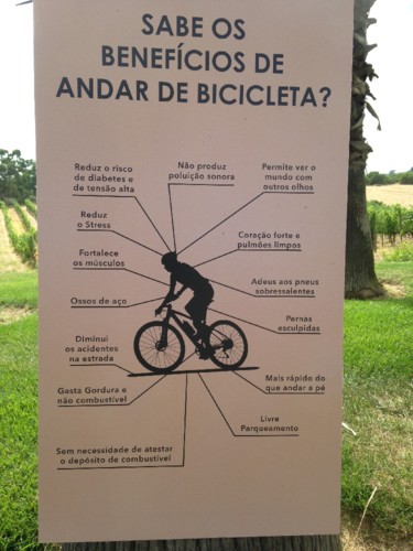 IMG_4770.JPG IMG_4770.JPG