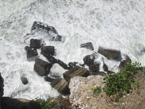 IMG_5605.JPG IMG_5605.JPG