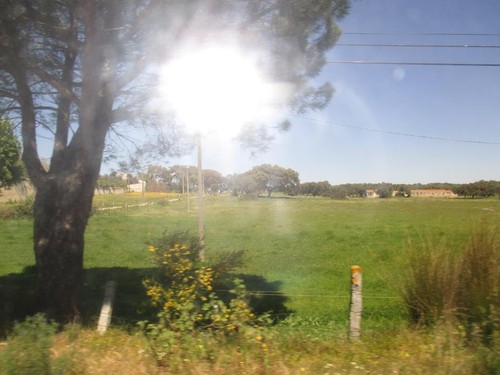 12963890_10207332533890195_7140801951428303077_n.j