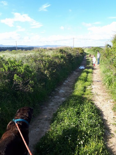 31564261_1962230687140477_1769649697024114688_n.jp