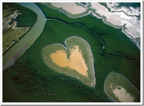 A terra vista do céu 17_thumb[6].jpg