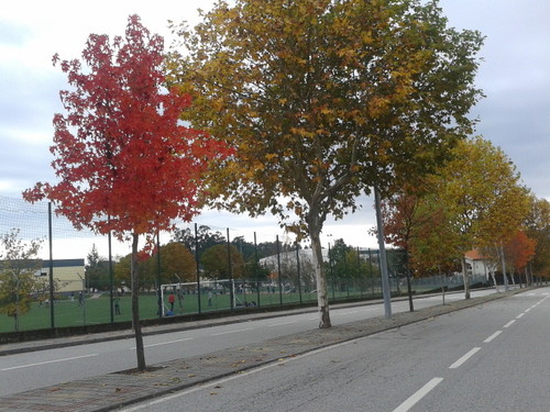 outono.jpg outono.jpg