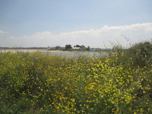 acomerciantes 023.JPG