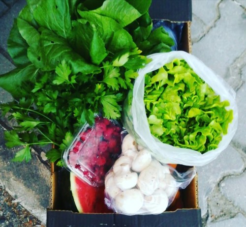 41991540_1209683305838095_5302997310077140992_n.jp 41991540_1209683305838095_5302997310077140992_n.jp