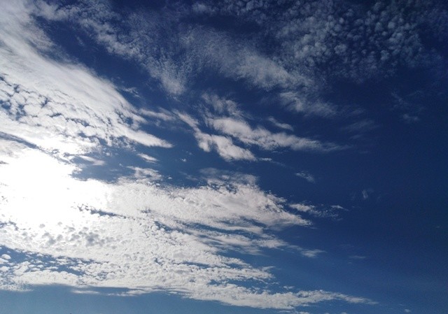 IMG_20210528_084814cópia.jpg IMG_20210528_084814cópia.jpg