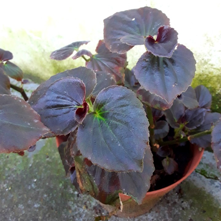 20210228_092707.jpg 20210228_092707.jpg