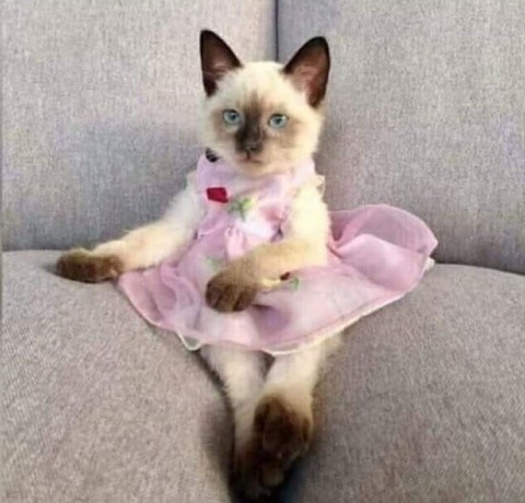 167157233_4281789988509201_8763934732483058437_n.j 167157233_4281789988509201_8763934732483058437_n.j