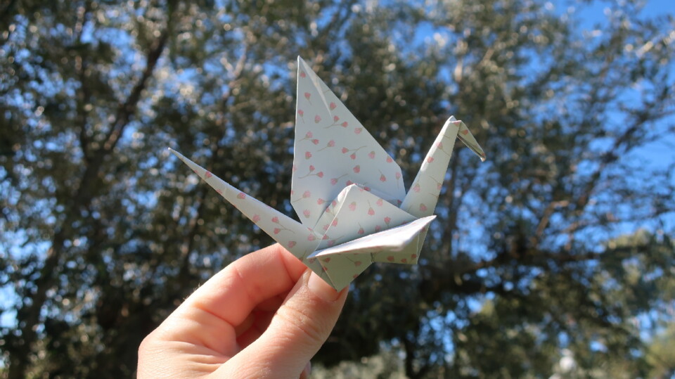 Passaro em origami