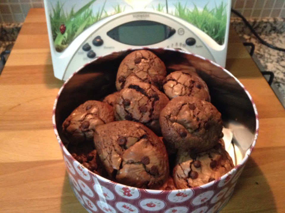 IMG_3092.JPG IMG_3092.JPG