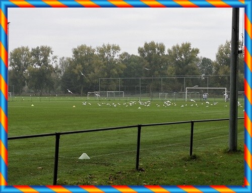 11a_Continuação_Aniversário_da_Bia (15).jpg