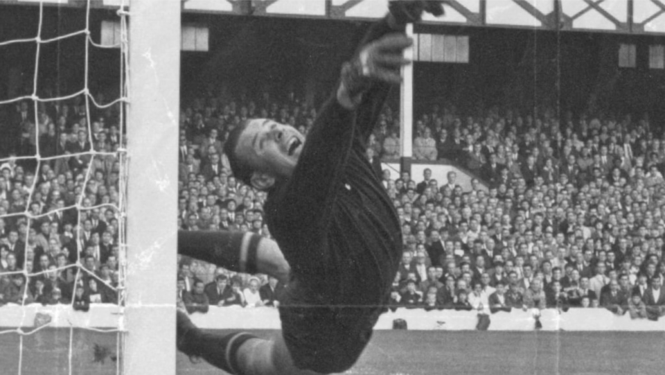 Cópia de Design sem nome (20).png