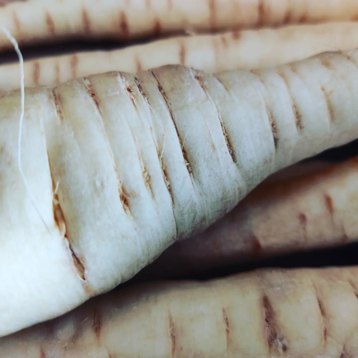 273726275_2236211523185263_940686319882038874_n.jp