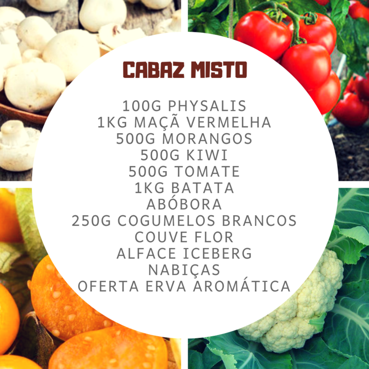 CabazMisto02a05Abr.png CabazMisto02a05Abr.png