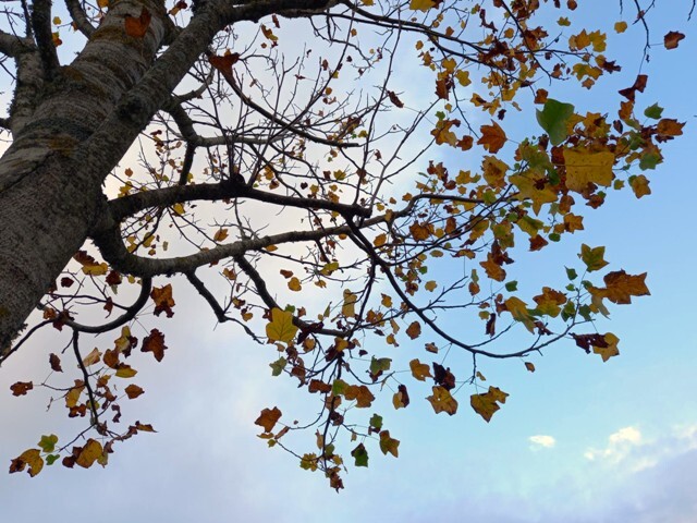 1000023306 - Cópia.jpg