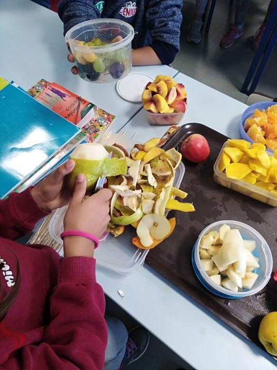 dia da Alimentação.jpg