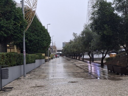 06a_Rota_das_Montras (23).jpg