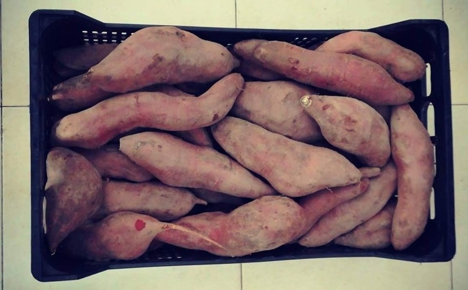 71079910_1476202735852816_3668897528239095808_n.jp 71079910_1476202735852816_3668897528239095808_n.jp