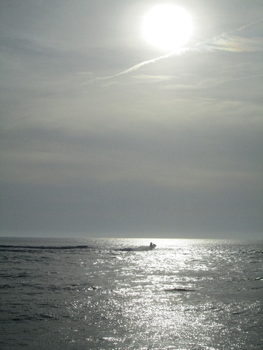 IMG_0944.JPG IMG_0944.JPG