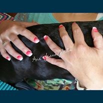 14572932_1321037967915635_1336815192522336699_n.jp 14572932_1321037967915635_1336815192522336699_n.jp