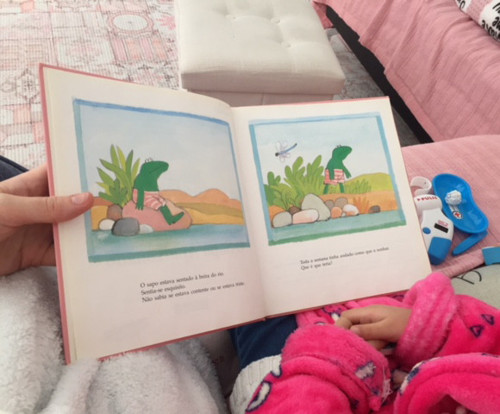 o sapo apaixonado 2.jpg