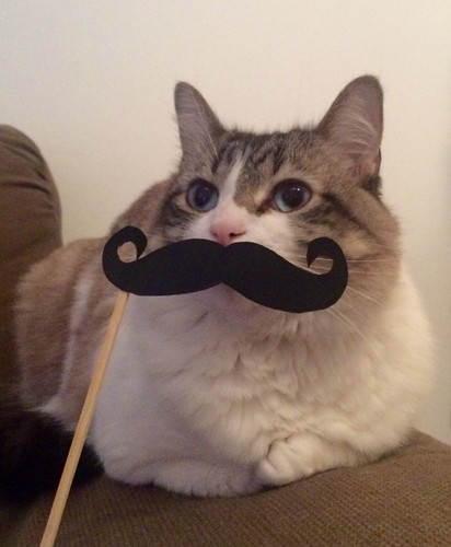 FullSizeRender (16).jpg