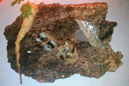 IMG_20160520_222547 (2).jpg IMG_20160520_222547 (2).jpg