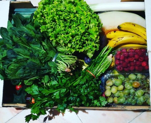 41717099_1206959029443856_1403270904862998528_n.jp 41717099_1206959029443856_1403270904862998528_n.jp