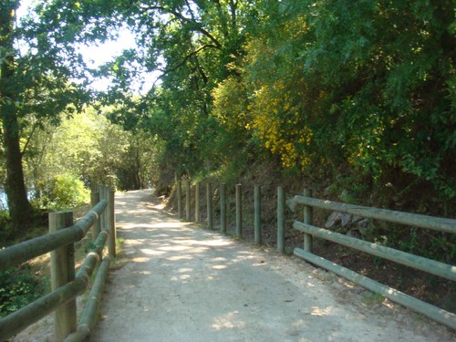 IMG_6873.JPG IMG_6873.JPG